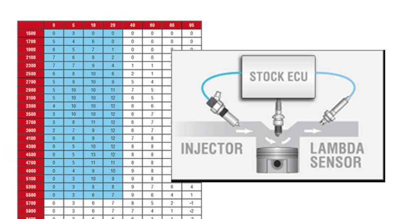 ¡SÓLO NOSOTROS TE LLEVAMOS AL ‘CORAZÓN DE LA DIVERSIÓN’!